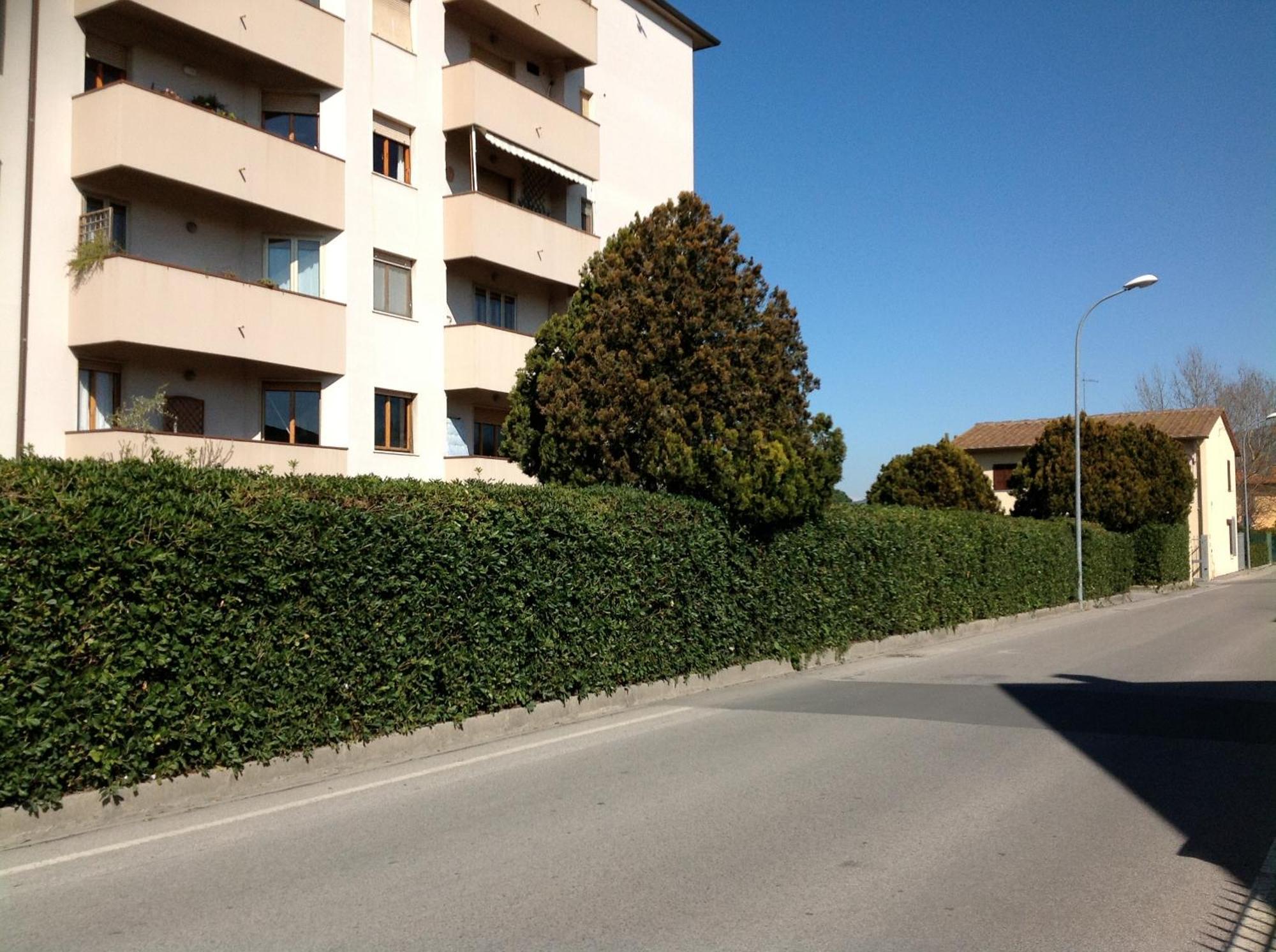 Cisanello House Hotell Pisa Eksteriør bilde